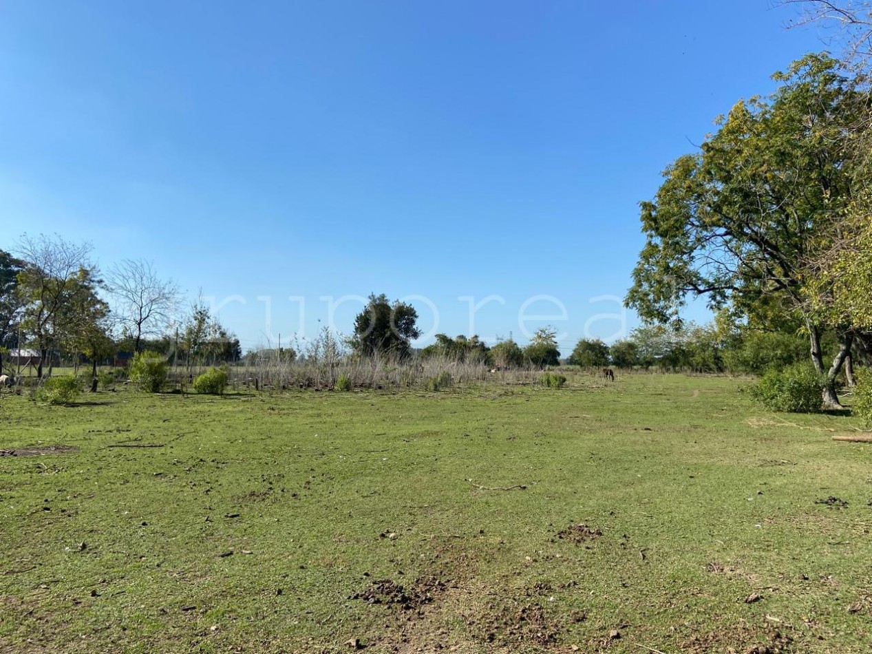 VICENTE CASARES - Campo a la venta a pocos metros de la Autopista Ezeiza Cañuelas