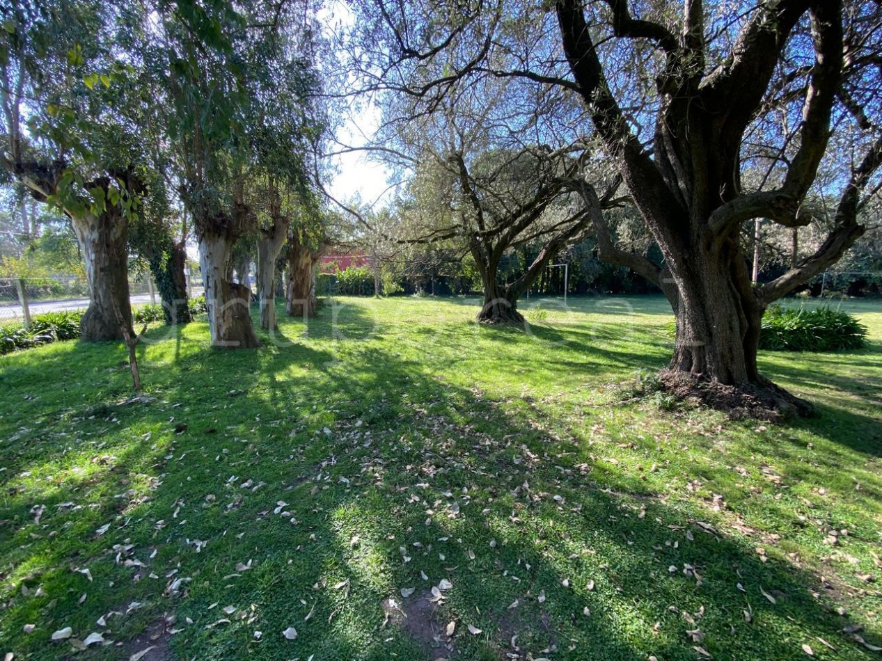 VICENTE CASARES - Campo a la venta a pocos metros de la Autopista Ezeiza Cañuelas