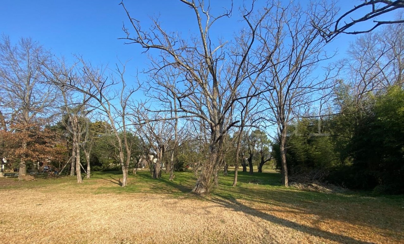 EL OMBU - Propiedad super funcional con gran parque con fondo a espacio comun