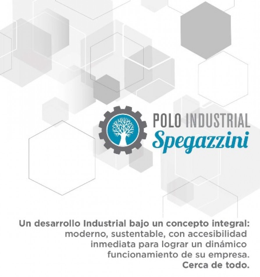 OPORTUNIDAD !!! NAVE 6500m2 Parque industrial Spegazzini