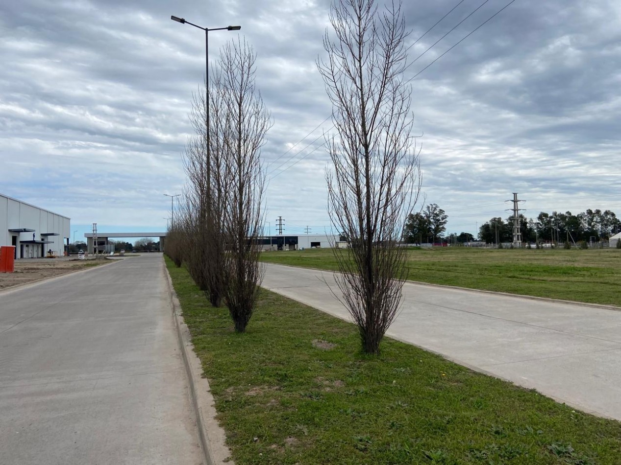 PARQUE INDUSTRIAL SPEGAZZINI - LOTE 3.370 m2